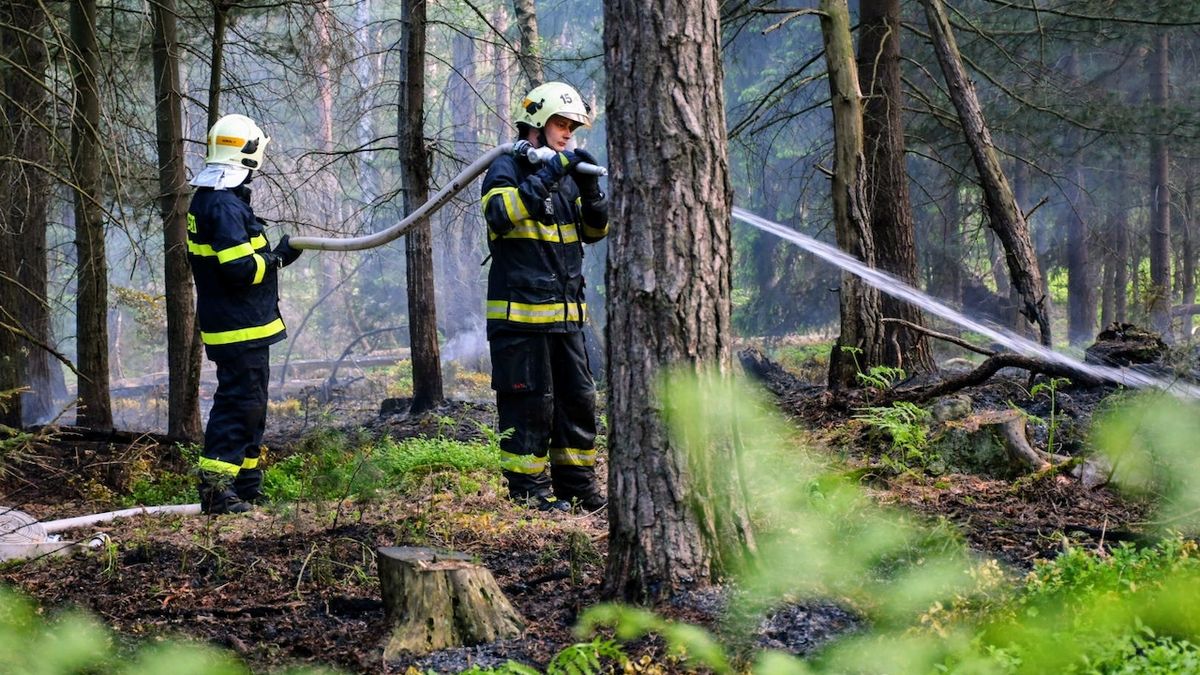 V Českém Švýcarsku hoří les